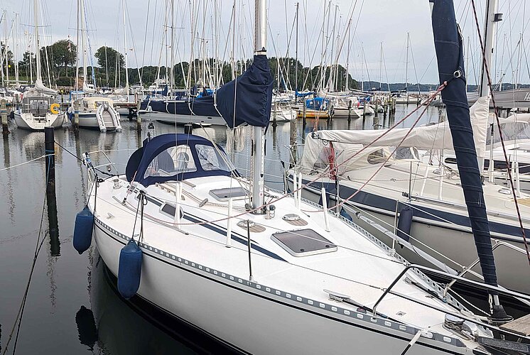 Elan Y 33